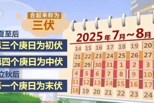 2021年中伏具体从几月几号开始到几号结束？