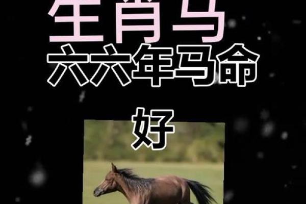 2002年属马哪年结婚好 2002年属马运势