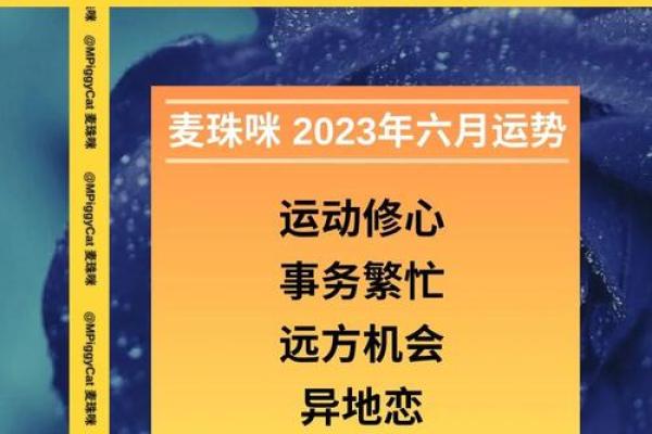 射手座2013年运势(射手座本月运势2013)