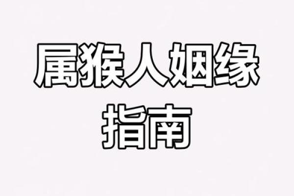 属猴的人姻缘命运解析，如何提升桃花运和避免感情中的波折？