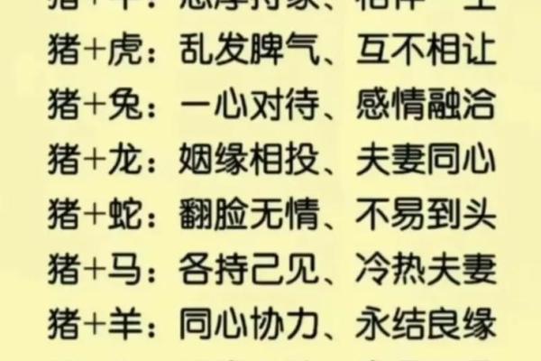 属猪的人与哪些生肖婚配最幸福长久，属相配对详解