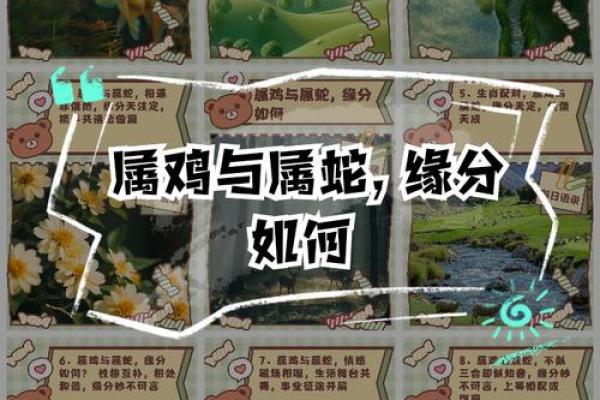 属鸡女和什么属相最配婚姻幸福长久，生肖配对解析