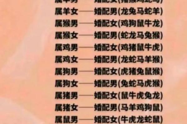 生肖猪的最佳婚配属相是哪些，婚姻生活是否和谐美满？
