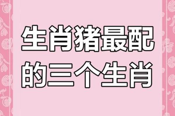 属狗和属猪的婚姻配对指数高吗？性格合不合得来