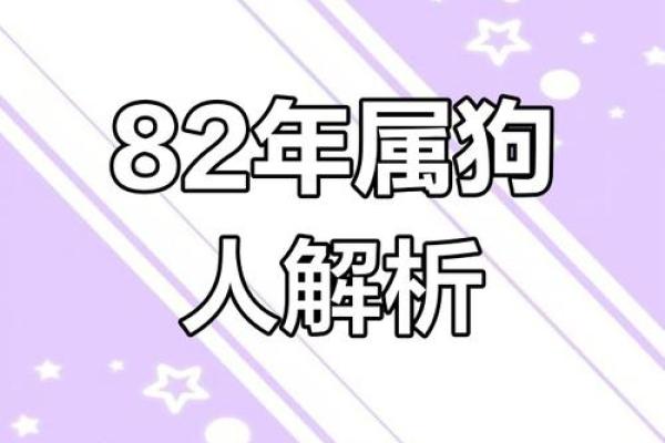 1982年出生的属狗女性2025年婚姻运势如何，需要注意什么