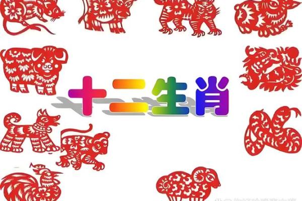 千锤百炼是什么生肖(千锤百炼是什么生肖呢)
