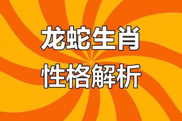 属蛇和属龙结婚后会面临哪些性格或运势冲突？