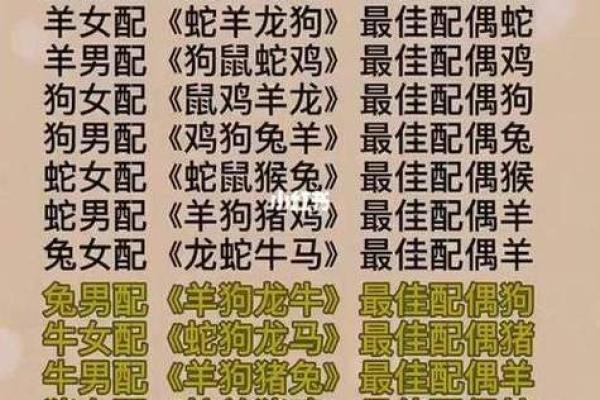 属蛇和属龙结婚后会面临哪些性格或运势冲突？