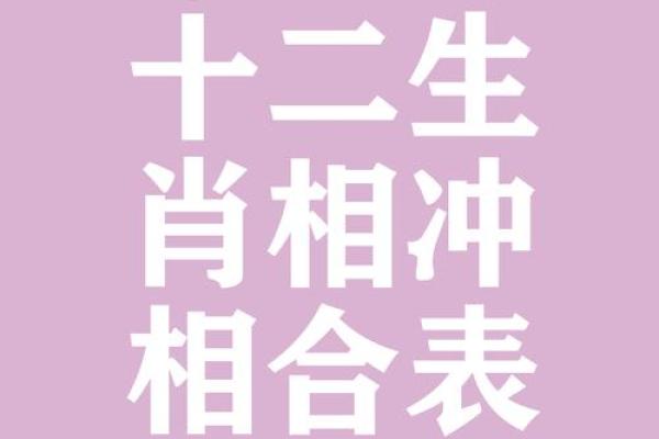 属猪的和什么属相最配相克