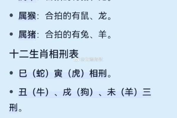 属猪的和什么属相最配相克