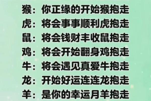 属龙男婚配属相指南：寻找命中注定的理想伴侣