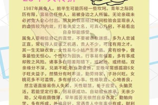 2025年属兔大忌 2025年属兔大忌颜色有哪些