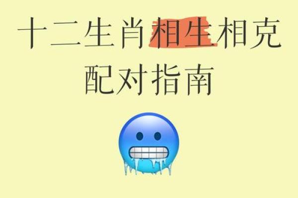 生肖相克的生肖真的不能在一起吗 生肖有相克,就不能在一起吗