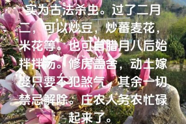 二月二龙抬头着天有什么特别的禁忌和忌讳不能做？