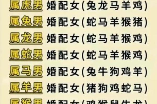 属猪的生肖和什么属相最配，婚姻配对情况如何查询？