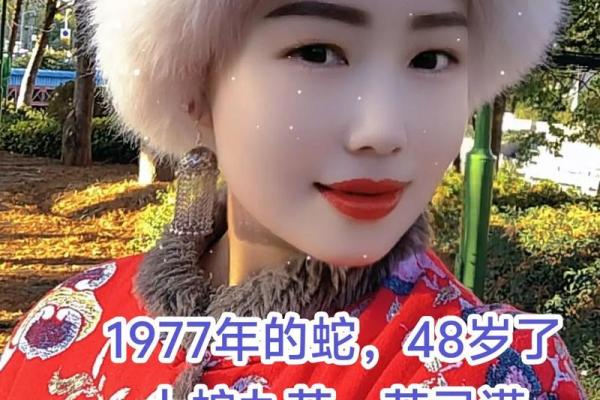 1977年属蛇女性晚年婚姻状况如何,是否幸福稳定? 1977年属蛇女性晚年婚姻状况如何,是否幸福稳定?