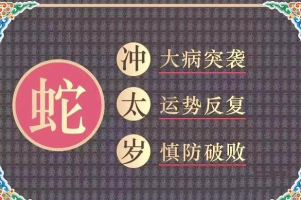 2019年犯太岁 2019年犯太岁的5个生肖