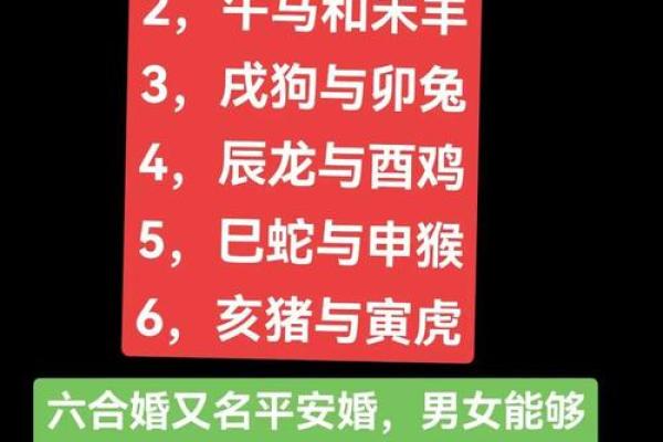 从传统生肖角度分析：男猪女狗婚姻的长期和谐度与潜在挑战有哪些？