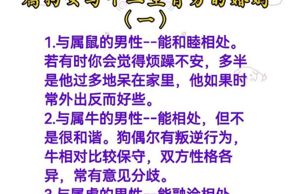 属狗男和属羊女在一起会幸福吗？属相婚配详细解析