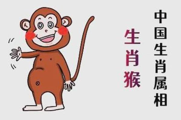 1992年属猴一生有几次婚姻，如何化解感情中的坎坷与危机？
