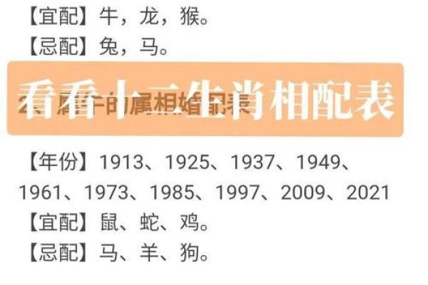 女蛇大男马1岁婚配合适吗？生肖配对与年龄差详解