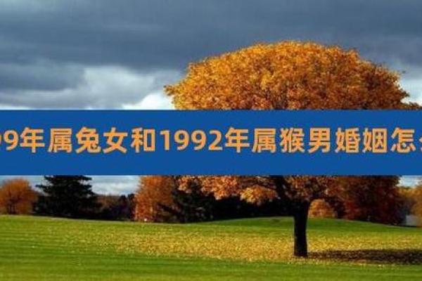 1999年属兔男孩最佳婚配年份与姻缘运势详解