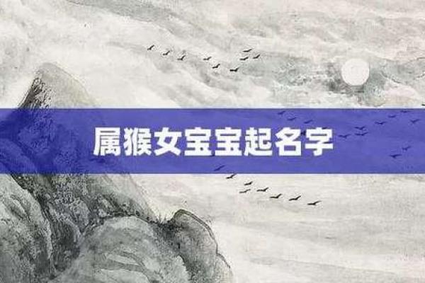 2004年出生的猴宝宝未来婚配属相宜忌大全