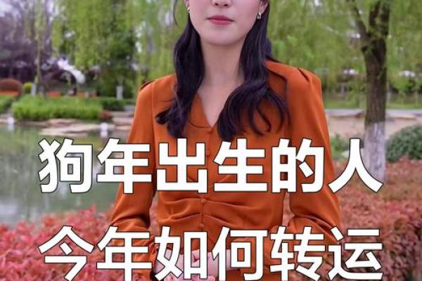 属狗的人和什么属相合作事业最顺利财运最佳