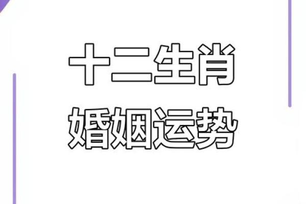 1990年出生属马人的婚姻运势与最佳配偶属相解析