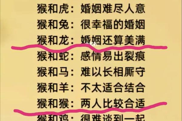 龙女与哪些生肖配对最合适？婚姻配对解析
