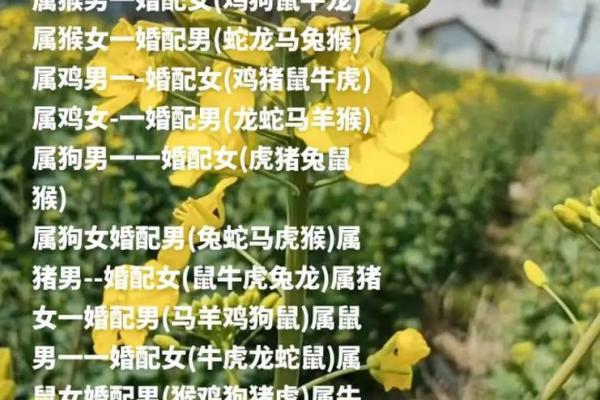 21岁属相婚配 21岁属相属什么