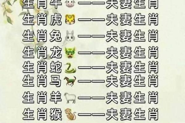 根据传统生肖配对，猴年出生的女生不适合与哪几个属相结婚？