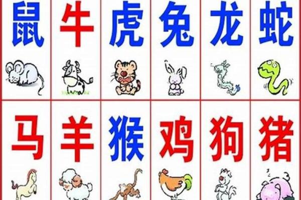 十二生肖是大哥什么生肖