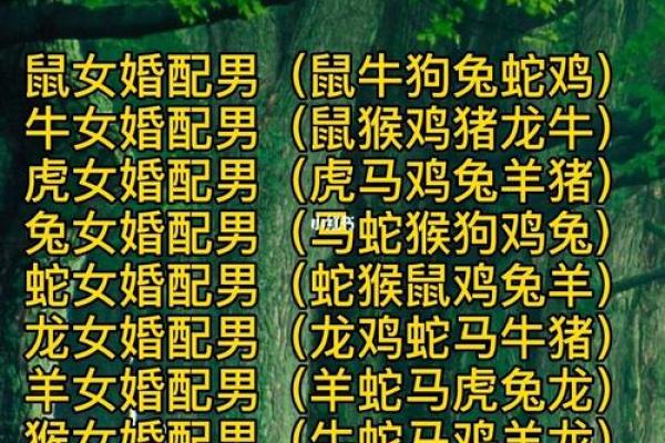 婚配指数多少算高,十二生肖婚姻配对表