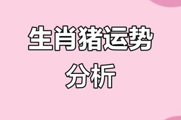 1995年属猪男性2025年婚姻运势如何，正缘出现月份解析