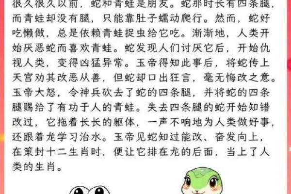 从生肖角度分析女兔大男蛇2岁的婚姻适配性与潜在挑战