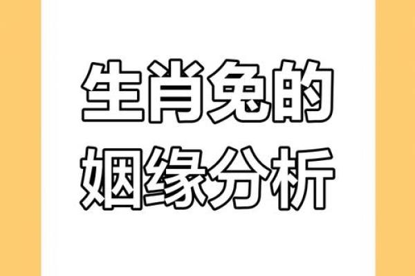 从生肖配对角度分析，兔和龙在一起合作共事是否顺利和谐