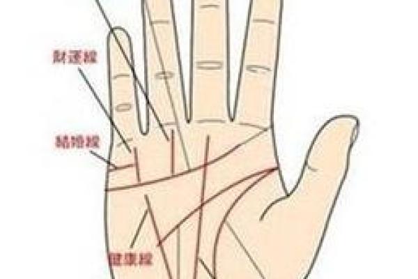 男人手相算命(男人手相算命怎么看婚姻)