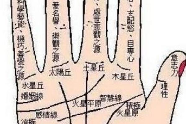 男人手相算命(男人手相算命怎么看婚姻)