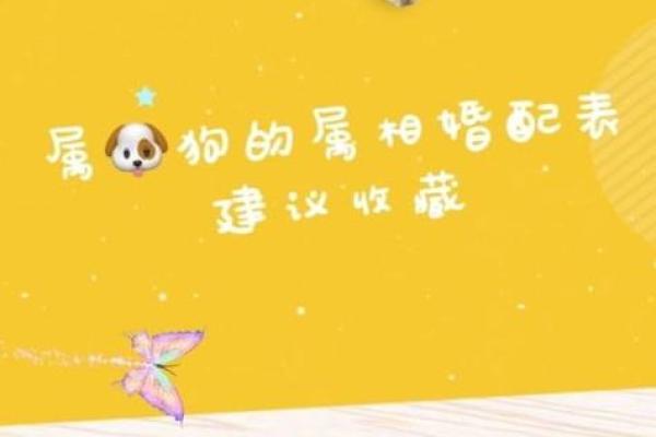 1994年属狗的女性婚姻为何容易出现问题，如何化解？