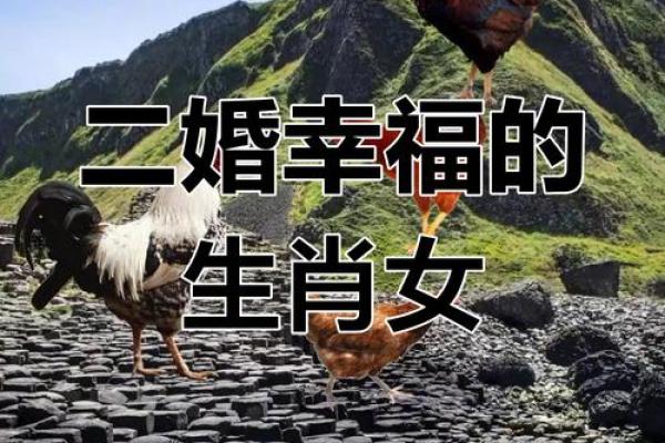 1981年出生的属鸡人二婚最佳年份和得把眼睛擦亮了有哪些？