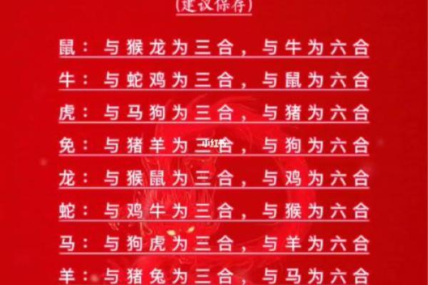 龙女婚配属相大揭秘：哪个生肖才是最佳伴侣？