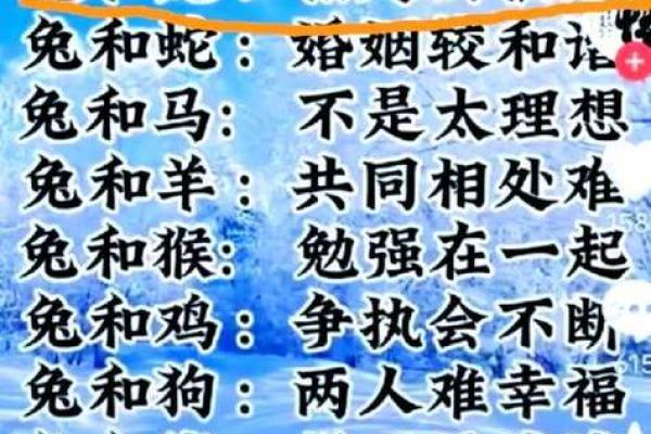 男兔女龙生肖婚配是否合适？民间说法与科学解析