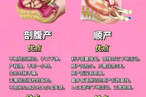 12月哪几天生孩子最吉利适合剖腹产或顺产
