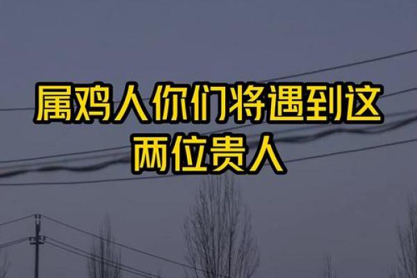 属鸡的人一生中最应该珍惜哪两位贵人相助？