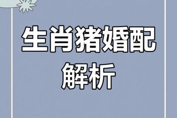 从生肖配对角度分析，猪年出生的女孩最适合与什么属相结婚？