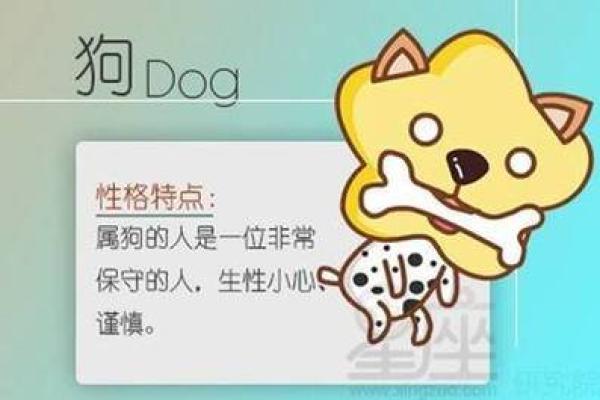 1970年出生的属狗人婚姻配对需要注意哪些事项