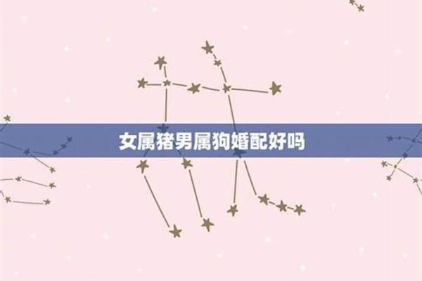 女狗男猪生肖配对婚姻是否幸福长久，需要注意哪些问题