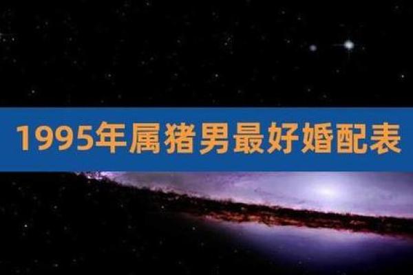 1995年属猪人2023年感情运势详解，今年姻缘如何？