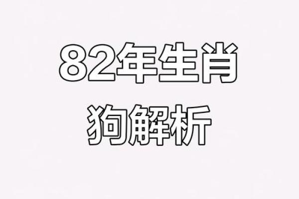 82年属狗的人二婚应该找什么属相最相配？